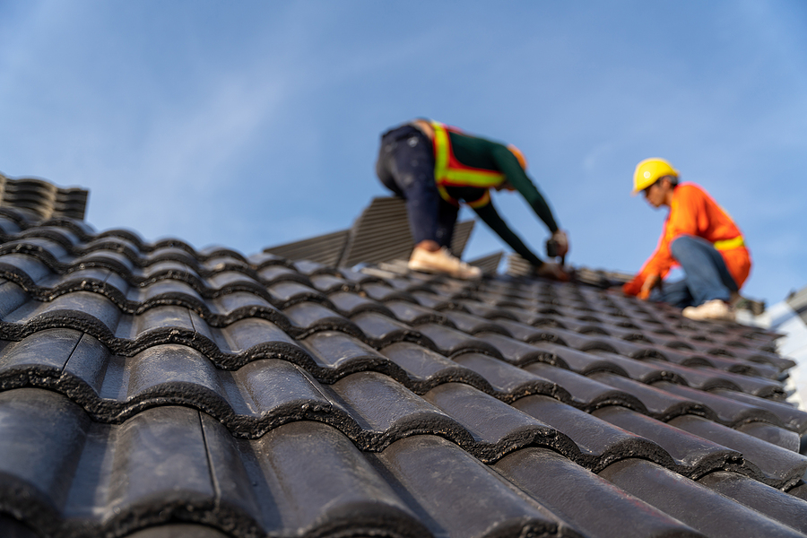 Signs You Need Roof Repair Now